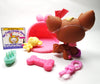 Littlest Pet Shop Chihuahua # 1623 with cute accessories