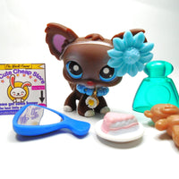 Littlest Pet Shop Chihuahua dog #219 with accessories My Cute Cheap Store
