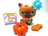 Littlest Pet Shop Persian cat #22 with accessories My Cute Cheap Store