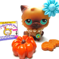 Littlest Pet Shop Persian cat #22 with accessories My Cute Cheap Store