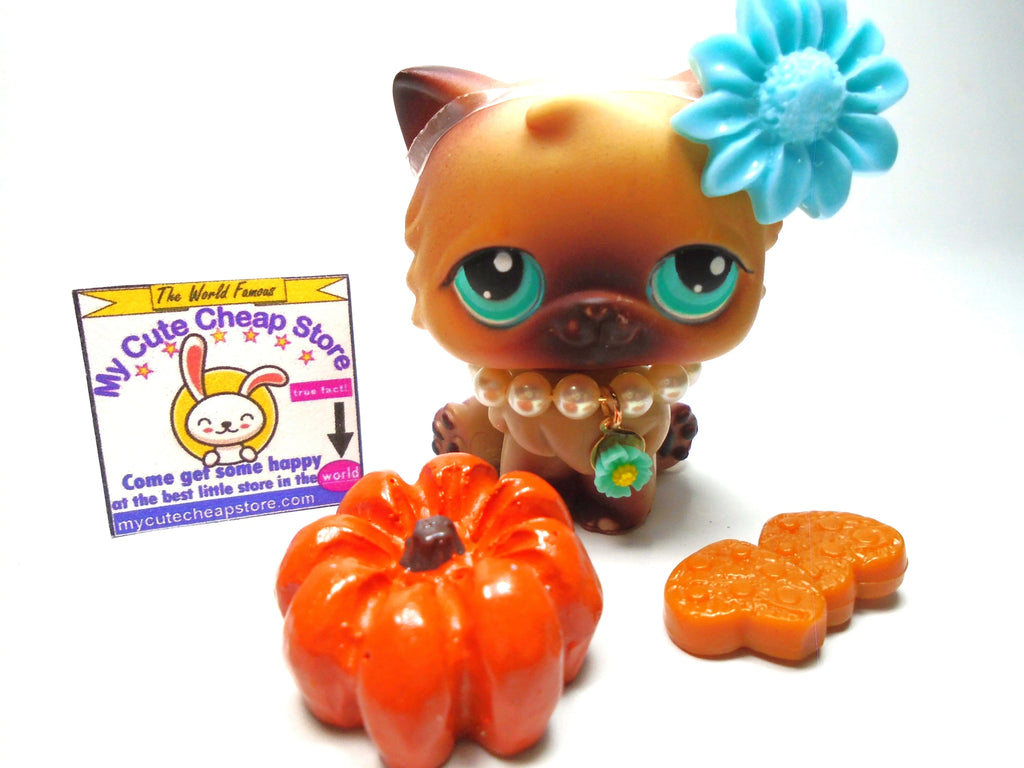Cat Discount Pet Warehouse Littlest Pet Shop Magic Motion Cat #493