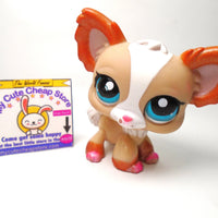 Littlest Pet Shop Chihuahua #1082 My Cute Cheap Store
