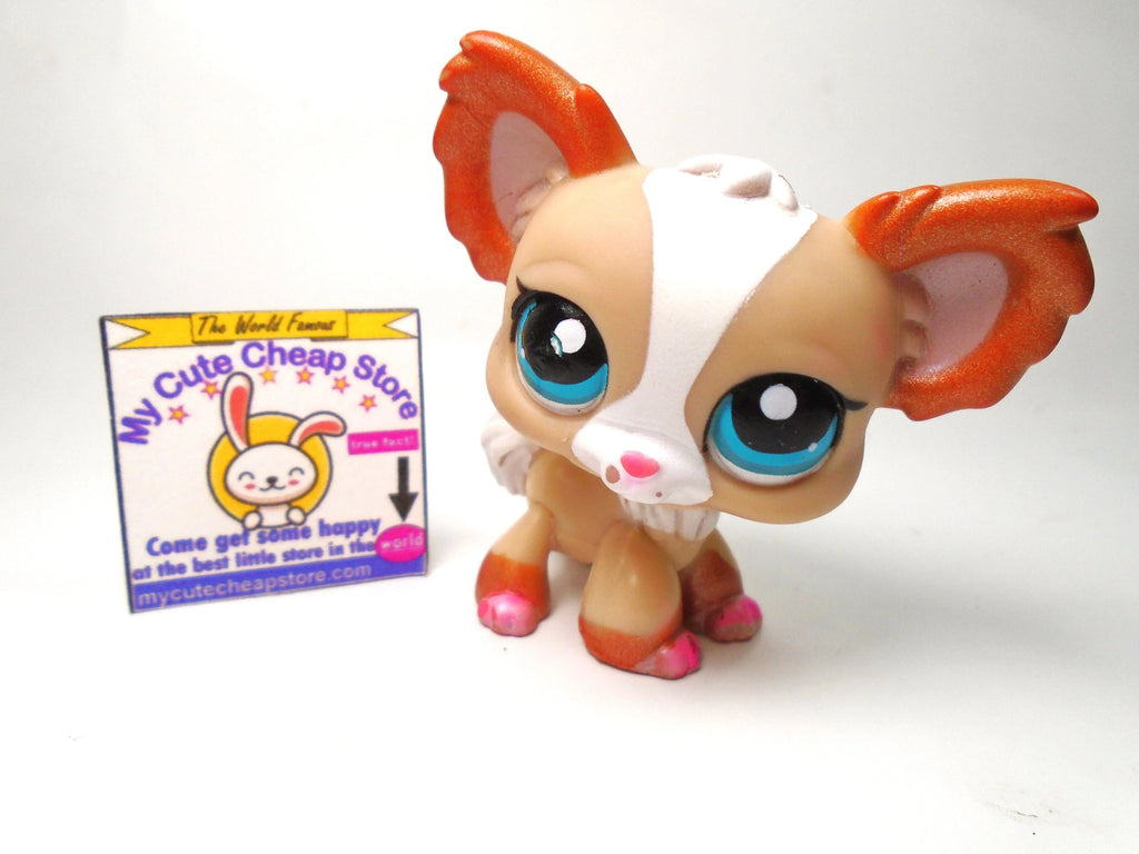 Littlest Pet Shop Chihuahua #1082 My Cute Cheap Store