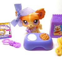 Littlest Pet Shop Chihuahua #96 with accessories My Cute Cheap Store