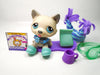 Littlest Pet Shop Husky dog #70 with accessories My Cute Cheap Store