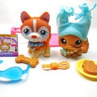 Littlest Pet Shop Husky #341 and Chinchilla #340 with accessories My Cute Cheap Store