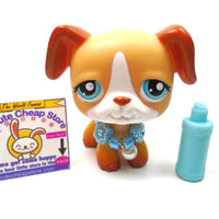 Littlest Pet Shop Boxer dog #218 with accessories My Cute Cheap Store