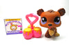 Littlest Pet Shop triplet bear #1556 with accessories My Cute Cheap Store