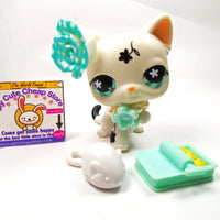 Littlest Pet Shop paw up flower cat #547 with accessories My Cute Cheap Store
