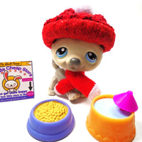 Littlest Pet Shop Husky dog #69 with accessories My Cute Cheap Store