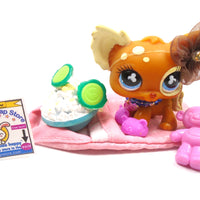 Littlest Pet Shop Chihuahua dog #731 with original accessories
