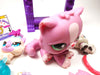 Littlest Pet Shop Persian cat # 3128 with cute accessories My Cute Cheap Store