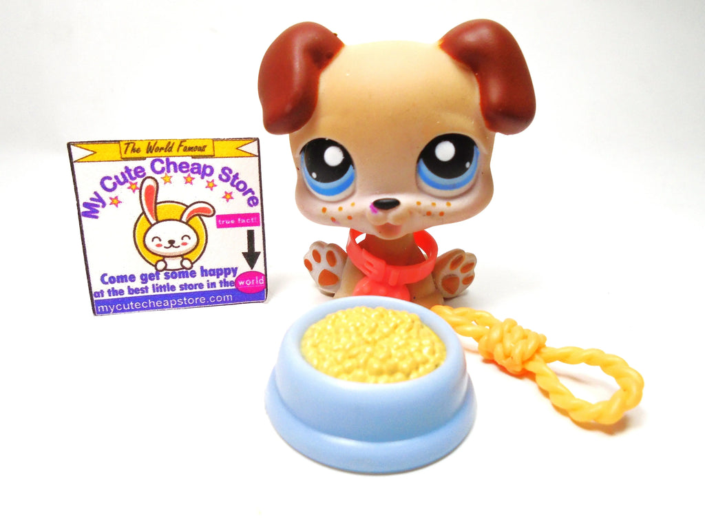 Littlest Pet Shop Baby Boxer #143 with accessories My Cute Cheap Store