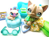 Littlest Pet Shop striped short hair cat #468 with cute accessories and a mini