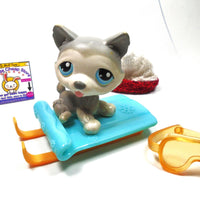 Littlest Pet Shop Husky dog #70 with accessories My Cute Cheap Store