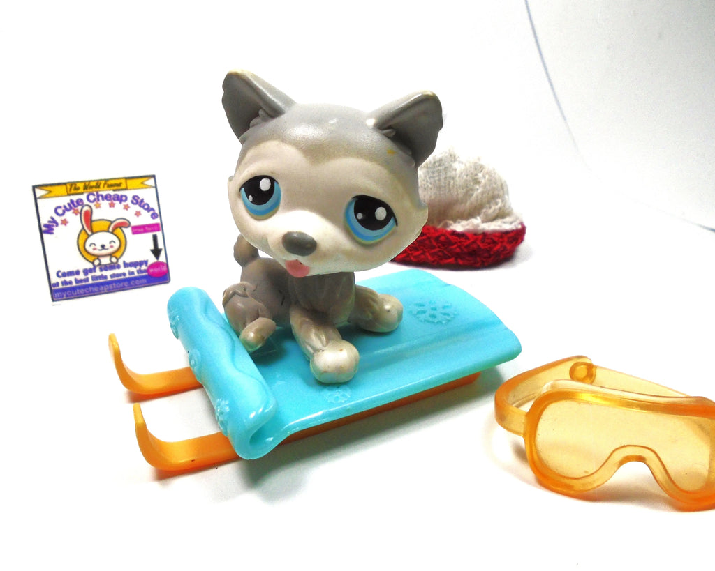Littlest Pet Shop Husky dog #70 with accessories My Cute Cheap Store