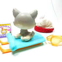 Littlest Pet Shop Husky dog #70 with accessories My Cute Cheap Store