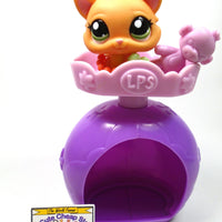 Littlest Pet Shop Kitten #2020 with accessories My Cute Cheap Store