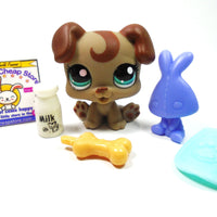 Littlest Pet Shop baby Boxer # 1197 with accessories My Cute Cheap Store