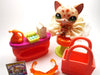 Littlest Pet Shop short hair cat #852 with cute and unique accessories