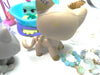 Littlest Pet Shop Rare Short Hair Cat #1206 and kitten #1301 with cute accessories My Cute Cheap Store
