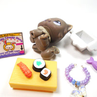 Littlest Pet Shop Persian cat #973 with accessories My Cute Cheap Store