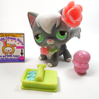 Littlest Pet Shop Angora cat no # with accessories My Cute Cheap Store