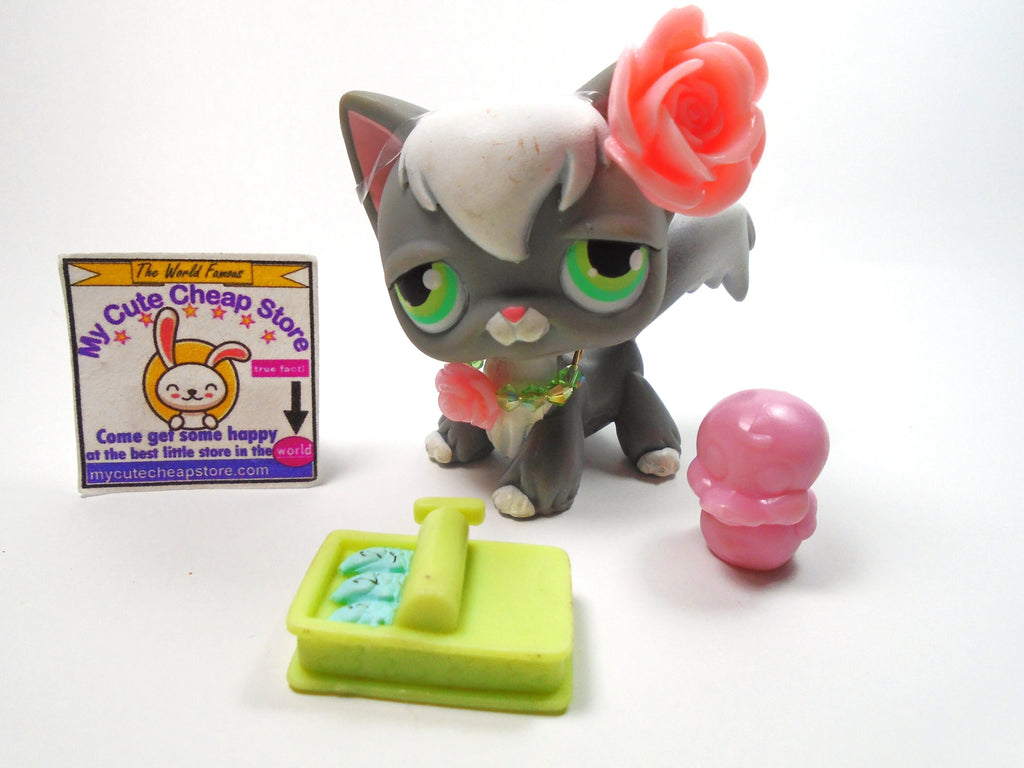 Littlest Pet Shop Angora cat no # with accessories My Cute Cheap Store