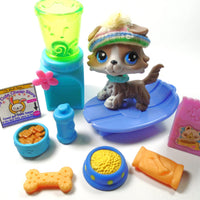 Littlest Pet Shop Collie #67 with accessories My Cute Cheap Store