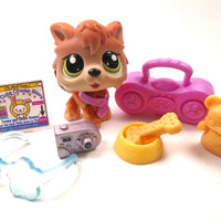 Littlest Pet Shop Timber Wolf #2141 with cute accessories