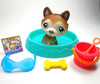Littlest Pet Shop Husky #68 with accessories My Cute Cheap Store