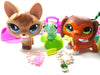 Littlest Pet Shop Dachshund #675 "Savvy", Fox #673, Cricket with cute and unique accessories