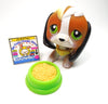 Littlest Pet Shop Beagle #113 with cute accessories My Cute Cheap Store