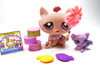 Littlest Pet Shop Rare Monopoly Tabby cat No # with cute accessories My Cute Cheap Store