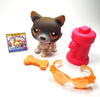 Littlest Pet Shop Husky dog #174 with accessories My Cute Cheap Store