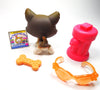 Littlest Pet Shop Husky dog #174 with accessories My Cute Cheap Store