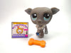 Littlest Pet Shop Greyhound #319 with accessories authentic