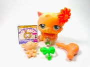 Littlest Pet Shop Rare Persian Cat #217 with accessories My Cute Cheap Store