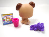 Littlest Pet Shop Baby Boxer #143 with accessories