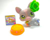 Littlest Pet Shop Corgi #1486 with cute accessories Authentic My Cute Cheap Store