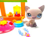 Littlest Pet Shop Sitting Snowy Cat #664 with cute accessories Authentic My Cute Cheap Store