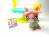 Littlest Pet Shop Boston Terrier #1380 with cute accessories My Cute Cheap Store