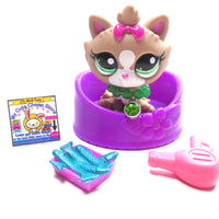 Littlest Pet Shop Himalayan cat # 2640 with accessories