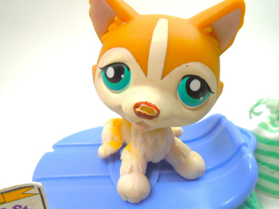 Littlest Pet Shop Around The World Husky #386 with cute accessories My Cute Cheap Store