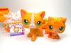 Littlest Pet Shop Short Hair Cat #72 Kitten #86 with cute accessories My Cute Cheap Store