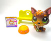 Littlest Pet Shop Brown German Shepard Wolf Dog #2137 with cute accessories My Cute Cheap Store