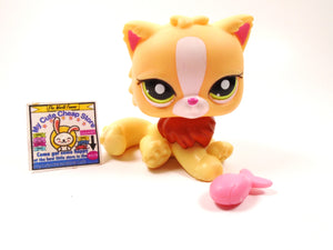 Littlest Pet Shop Mystery Striped Persian cat with a fish