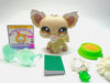 Littlest Pet Shop Chihuahua #1199 with cute accessories authentic My Cute Cheap Store