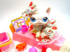 Littlest Pet Shop Short Hair Cat #64 with cute accessories authentic My Cute Cheap Store