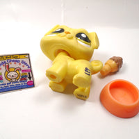 Littlest Pet Shop Yellow Pug #2589 with accessories